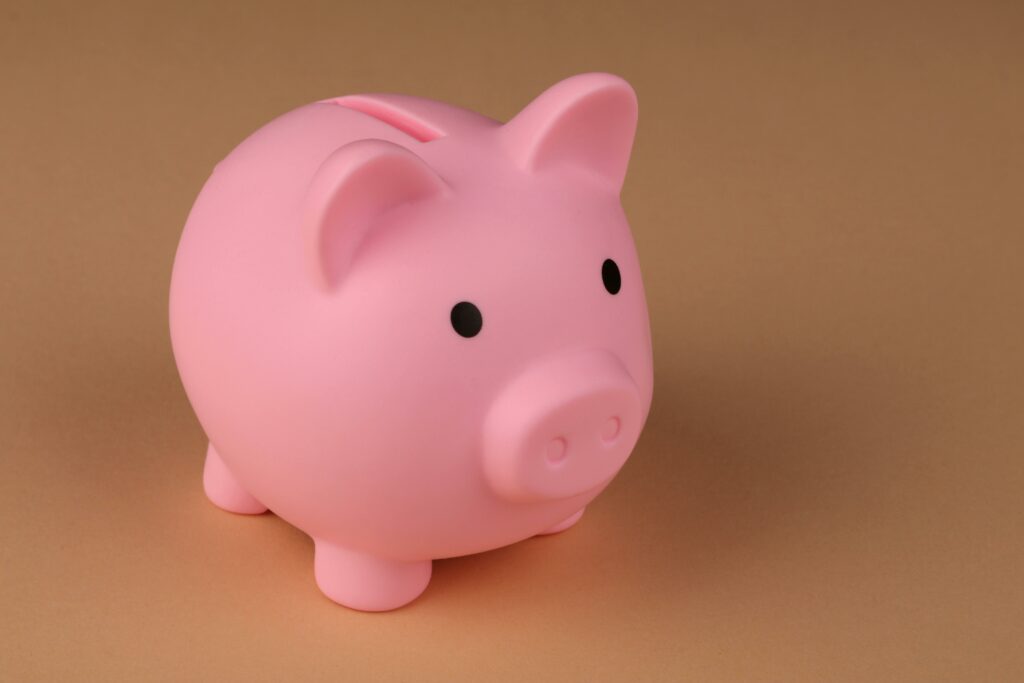 Cochon rose d'économie